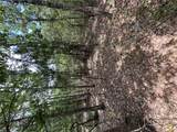 0 Recreational Road 4 (Lot 74) - Photo 14