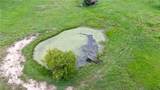 8166 Riley Road - Photo 40