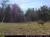 12863 Emu Lane - Photo 29