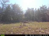 12863 Emu Lane - Photo 30