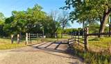 5916 Private Road 2003 (+16.9 Acres) - Photo 17