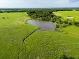 165 Acres Turner Ln - Photo 10