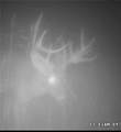 165 Acres Turner Ln - Photo 14