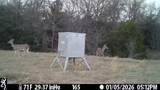 165 Acres Turner Ln - Photo 15