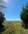 165 Acres Turner Ln - Photo 16