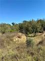 165 Acres Turner Ln - Photo 17