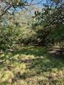 165 Acres Turner Ln - Photo 19