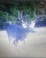 165 Acres Turner Ln - Photo 27