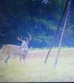 165 Acres Turner Ln - Photo 29