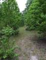 5325 County Road 2291 - Photo 23