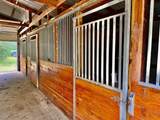 31928 Reids Prairie - Photo 41