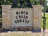 219 Ripple Creek Lane - Photo 43