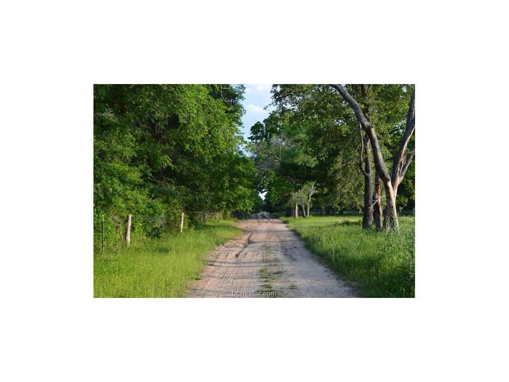 11568 County Road 419 County Road - Photo 1
