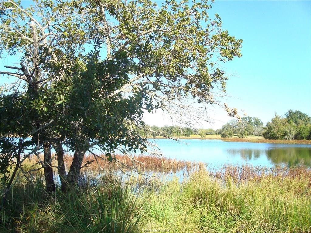 10771 Lonesome Dove Trail - Photo 1