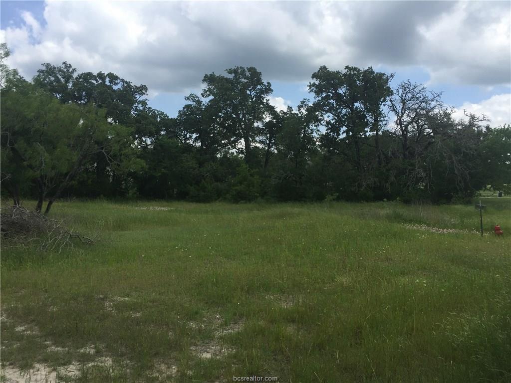 8774 Green Branch - Photo 1