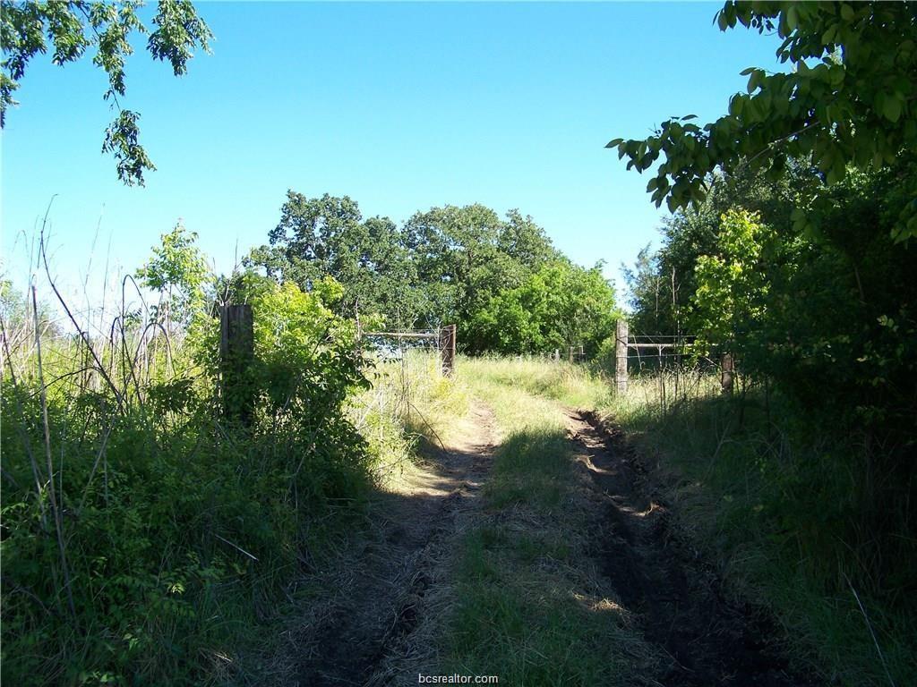 3201 Highway 21 - Photo 1