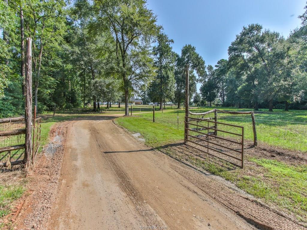 11864 Blackland - Photo 1