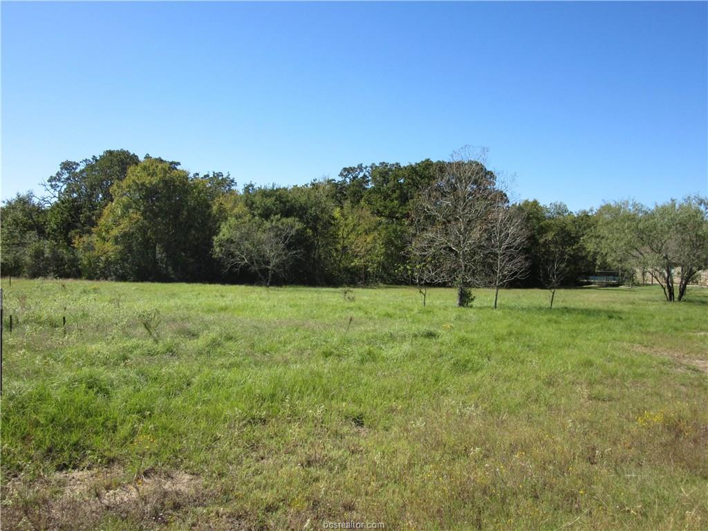 6423 Olivia Trail - Photo 1