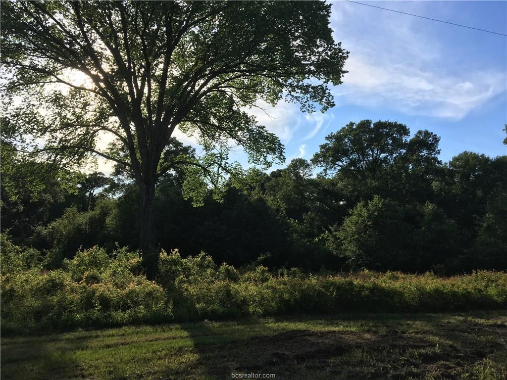 TBD Cr 308 County Road - Photo 1