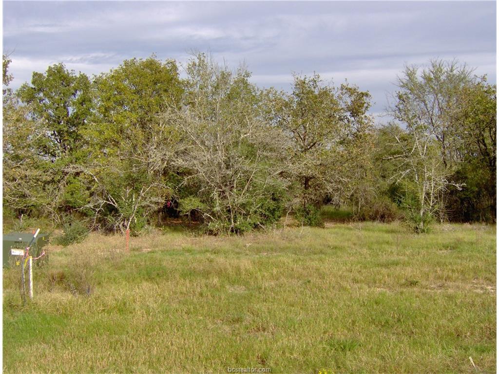 6422 Juliette Trail - Photo 1