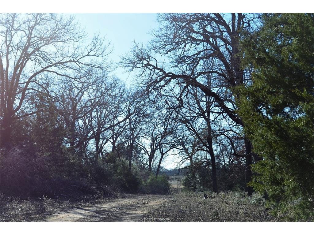 9201 Fm 2096 Farm To Market Road - Photo 1