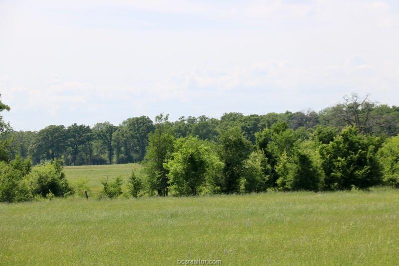 93.47 Ac On Cr 403 - Photo 1