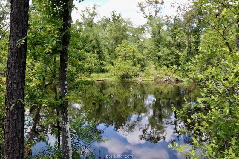 TBD County Road 208 - Photo 1