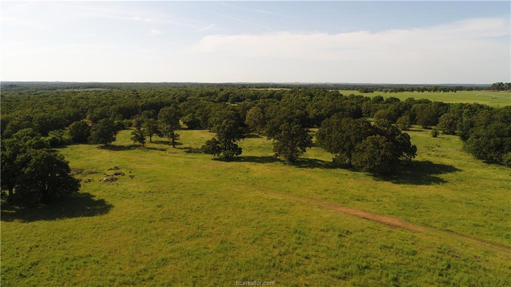 212 County Road 314 (+/-82 Acres) - Photo 1