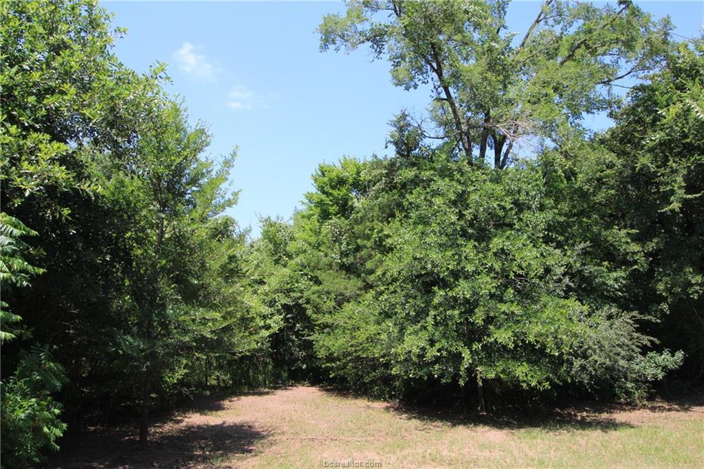 TBD Lakefront Drive - Photo 1