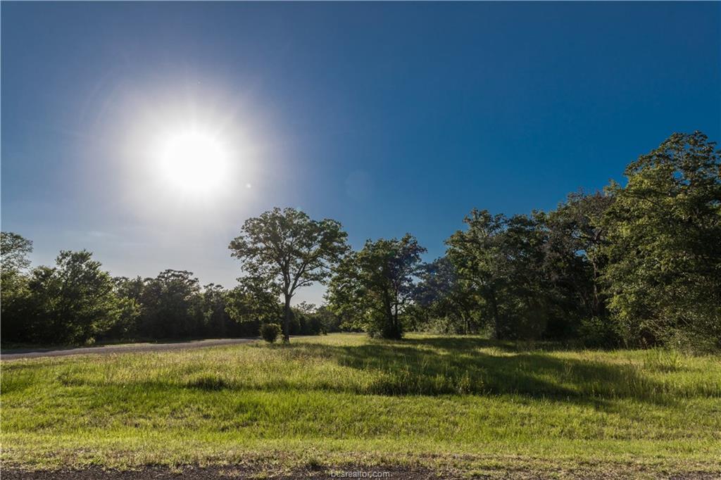 19345 Moonlit Hollow Loop - Photo 1