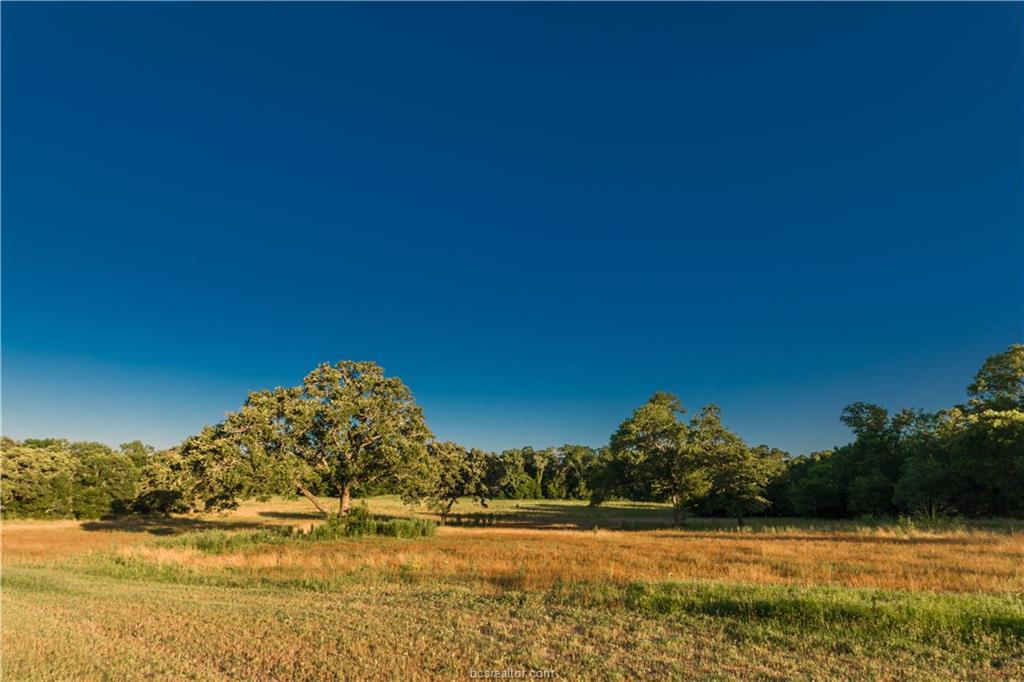 19375 Moonlit Hollow Loop - Photo 1