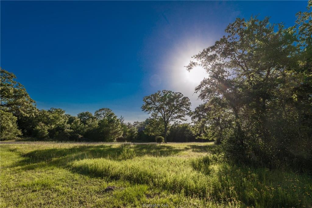 3966 Millican Creek Trail - Photo 1