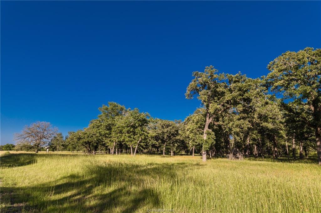 3869 Millican Creek Trail - Photo 1