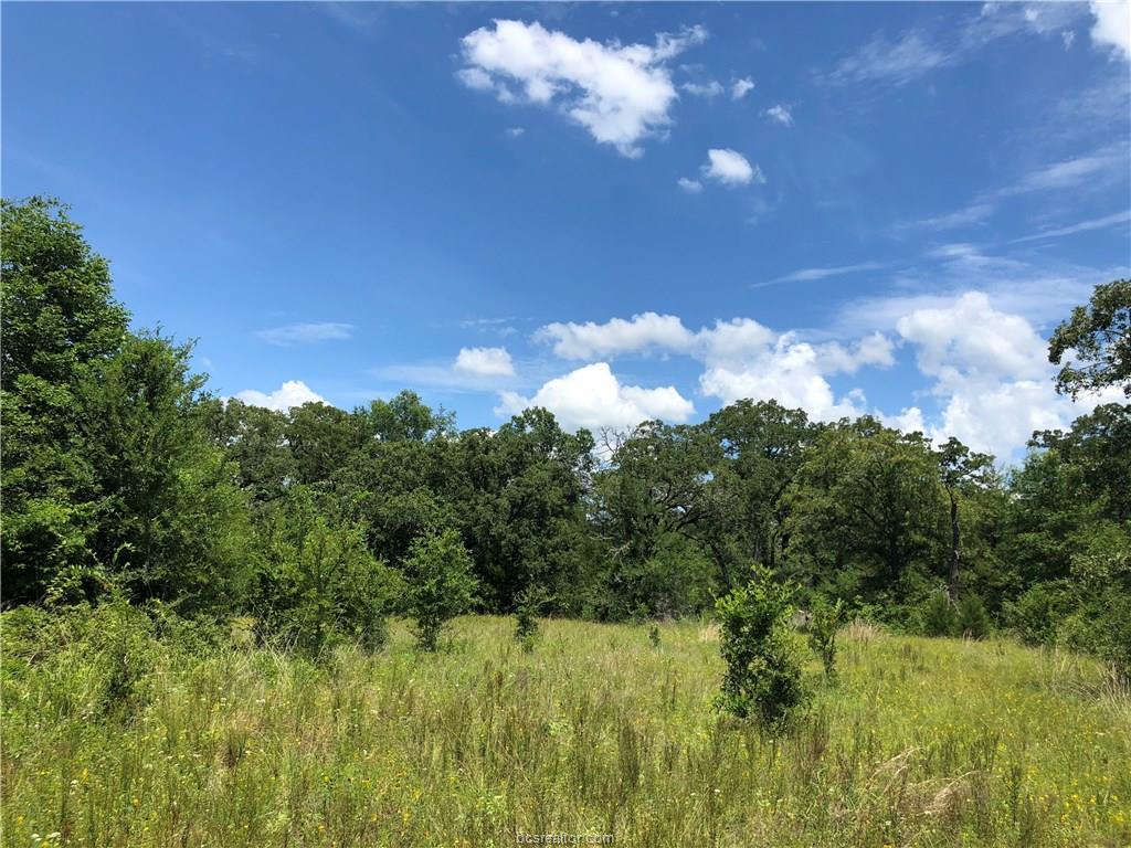 0000 County Road 173 - Photo 1