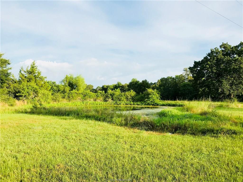 24300 State Highway 6 - Photo 1