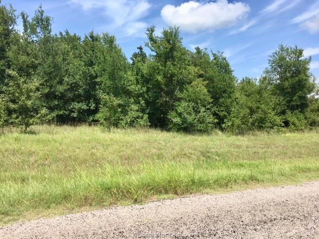 13263 Dowling Road - Photo 1