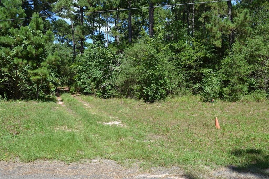 17239 Deer Run - Photo 1