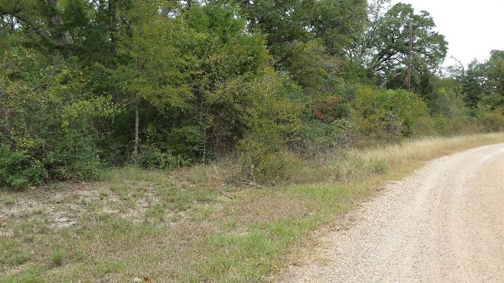 22 Woodview Pvt Loop - Photo 1