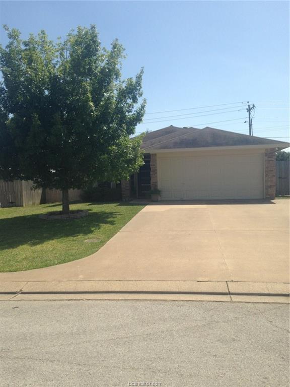 3510 Wild Plum Street - Photo 1