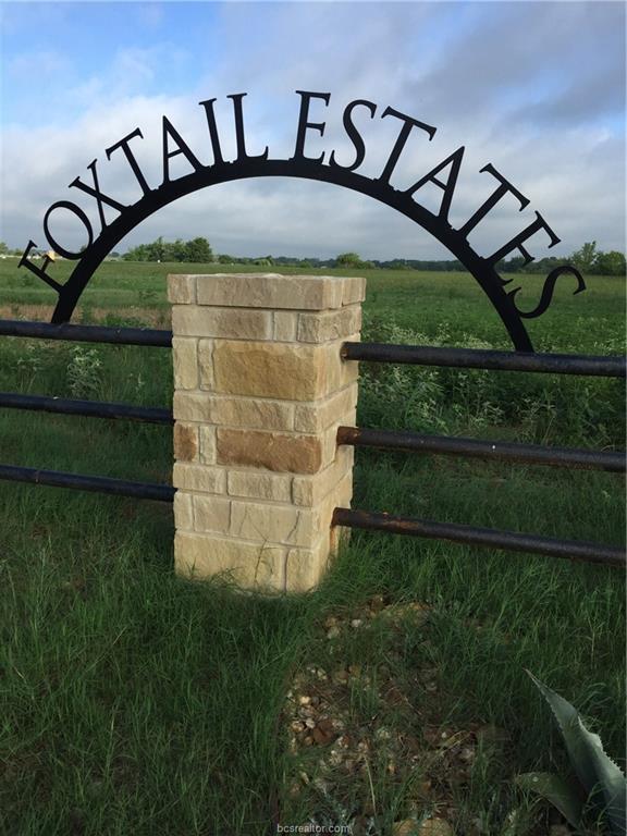 4264 Foxtail Court - Photo 1