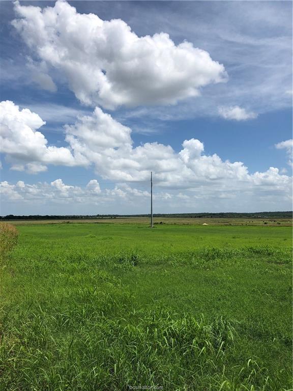 TBD E Fm 485 Farm To Market Road - Photo 1