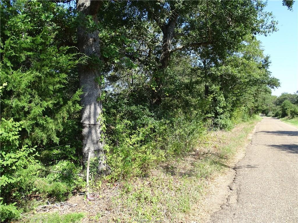 000 County Road 308 - Photo 1