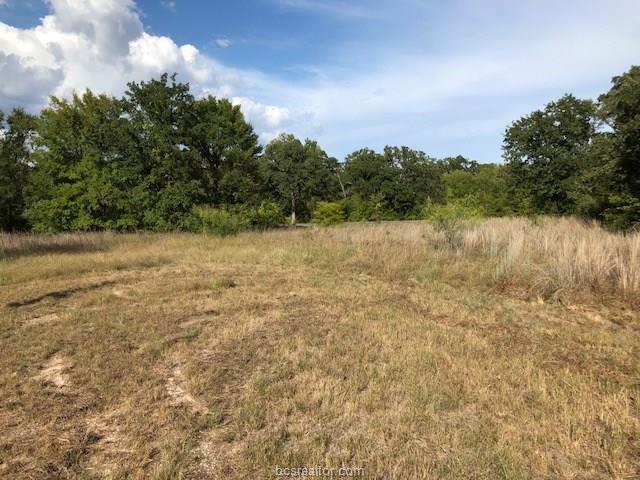 Lot 936 Live Oak Path - Photo 1