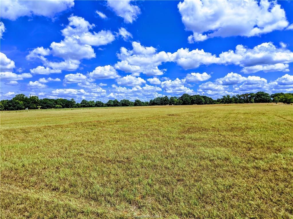 Tract 1 1940 Farm To Market Road - Photo 1