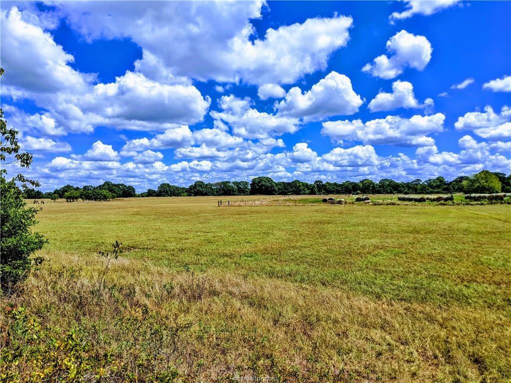 Tract 3 1940 Farm To Market Road - Photo 1