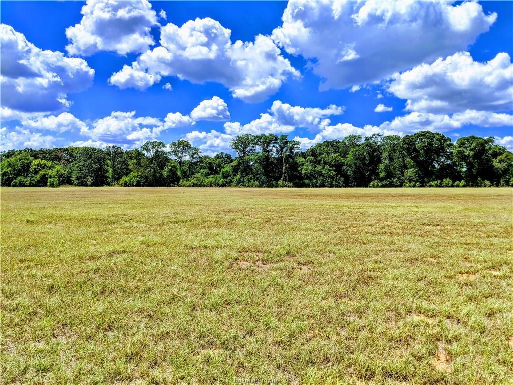Tract 2 Fm 1940 Farm To Market Road - Photo 1