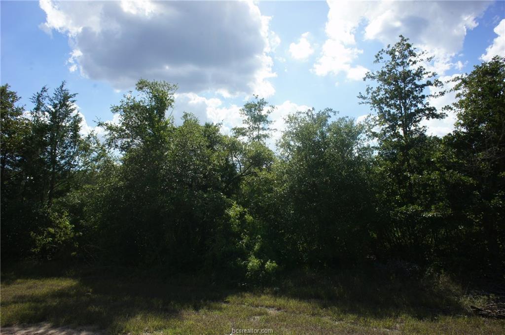 TBD Beaver Trail - Photo 1