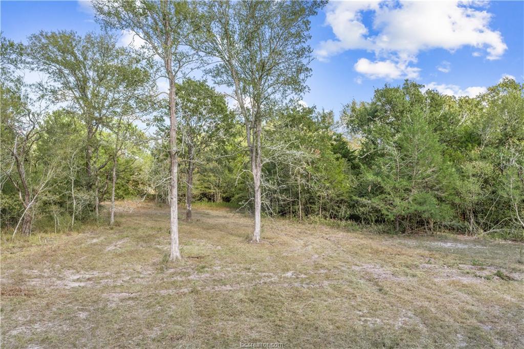 4033 Union Road - Photo 1