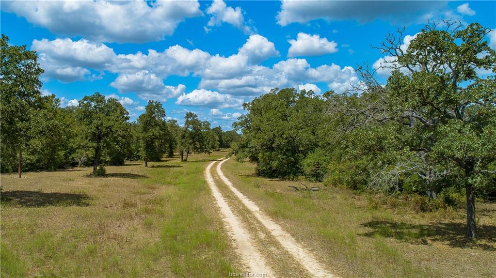 10.93 ACRES LOT 7 - Cr 274 - Photo 1