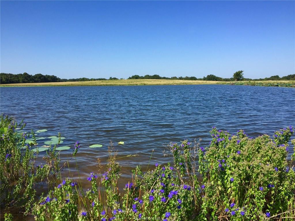 (+/-160 ac)TBD Fm 2413 - Photo 1